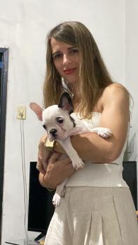 Louis, Bulldog Francés