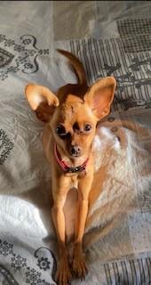 Melita, Chihuahua
