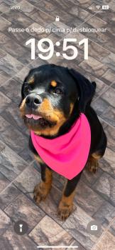 Atena, Rottweiler