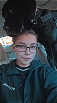 Koda, Cane Corso