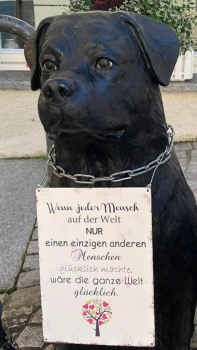 Rollo lothbrock, Rottweiler