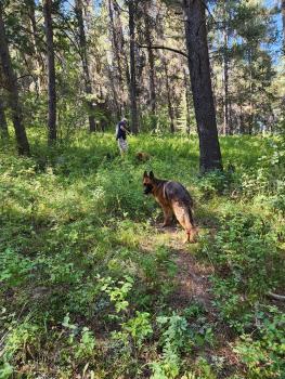 Freya, Berger Allemand