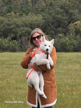 ALASKA, White swiss Shepherd Dog