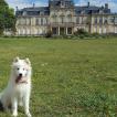 Nala, Samoyedo