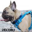 Decimo Spicone Arbornucis, Bulldog Francés