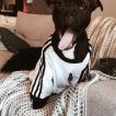 nelson, Staffordshire Bull Terrier