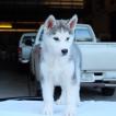 Snow of The Masterpiece