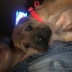 Marley