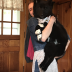 Jasper, Husky Siberiano