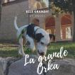 ORKA, Parson Jack Russell Terrier (De Pelaje Corto - Suave)