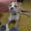Spike