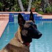 Nala