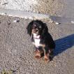 Patsy