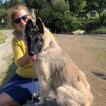 Patou, Cane da pastore belga (Tervueren)