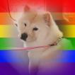 Trixie, Chow chow