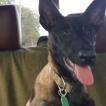 Gunner