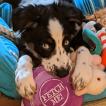 Ellie Mae