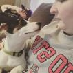Olaf, Parson Jack Russell Terrier (De Pelaje Corto - Suave)