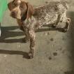 Ralf