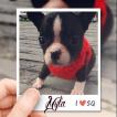 Myla