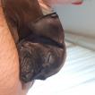 PACO