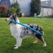 Slyde, Berger Australien