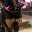 Kaï