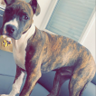 Raylee