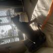 Sonny, Autres Chiens