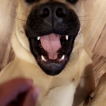 Layla (Boe-Peep)