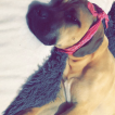 Layla (Boe-Peep)
