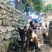 Rocky, Cane da pastore belga