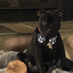 GEORGE