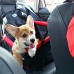 Torresmo, Welsh Corgi Pembroke