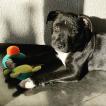 Stark, Staffordshire Bull Terrier