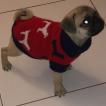 Yago