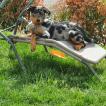 Rocket, Beauceron