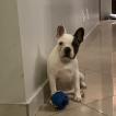 Lola