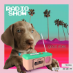 Maddox, Braco De Weimar (De Pelo Corto - Suave)