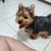 Zoe
