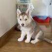 Ragnar