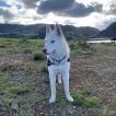 Ragnar