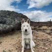 Ragnar