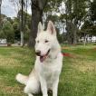 Ragnar