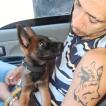 KiinG/2 junior, Pastor Belga Malinois
