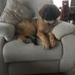 Lucy