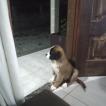 Zoe, San Bernardo