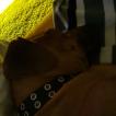 Spring, Rhodesian Ridgeback