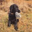 Shadow, Flat-Coated Retriever