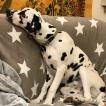 Storm, Dalmatien